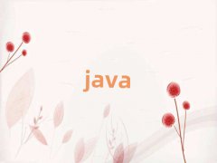 VJava̎W(wng)У