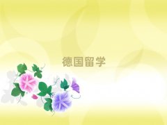 ^(q)W(xu)нC(j)(gu)