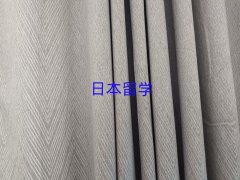2025|^(q)ձW(xu)н