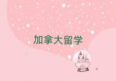ݽ(jng)·W(xu)н]һ(g)VW(xu)C(j)(gu)ַ