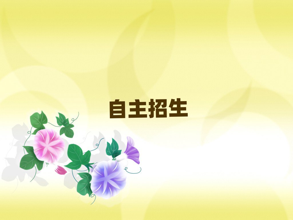 2019Ӗ(xn)
