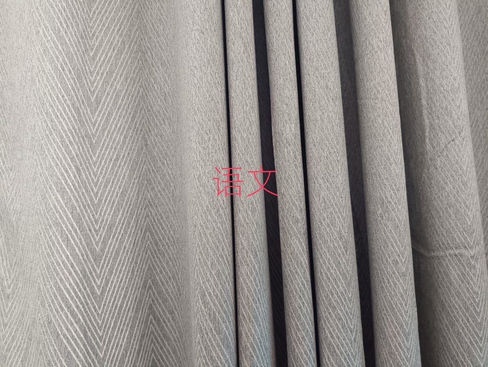 2019ݶǅ^(q)܌W(xu)ЌW(xu)Z(y)