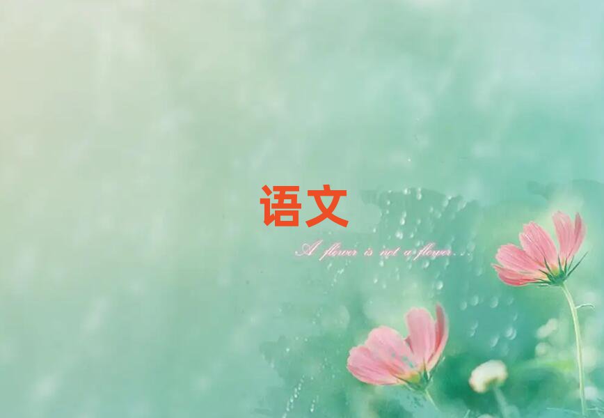 2019ڸСW(xu)Ӗ(xn)