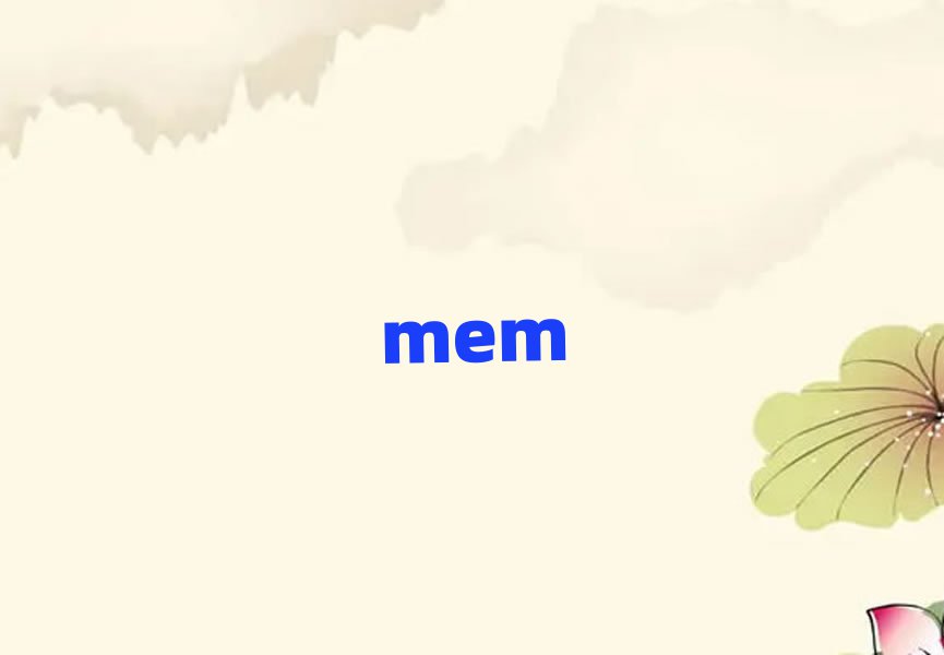 2019S_(ti)^(q)(bo)MEMX