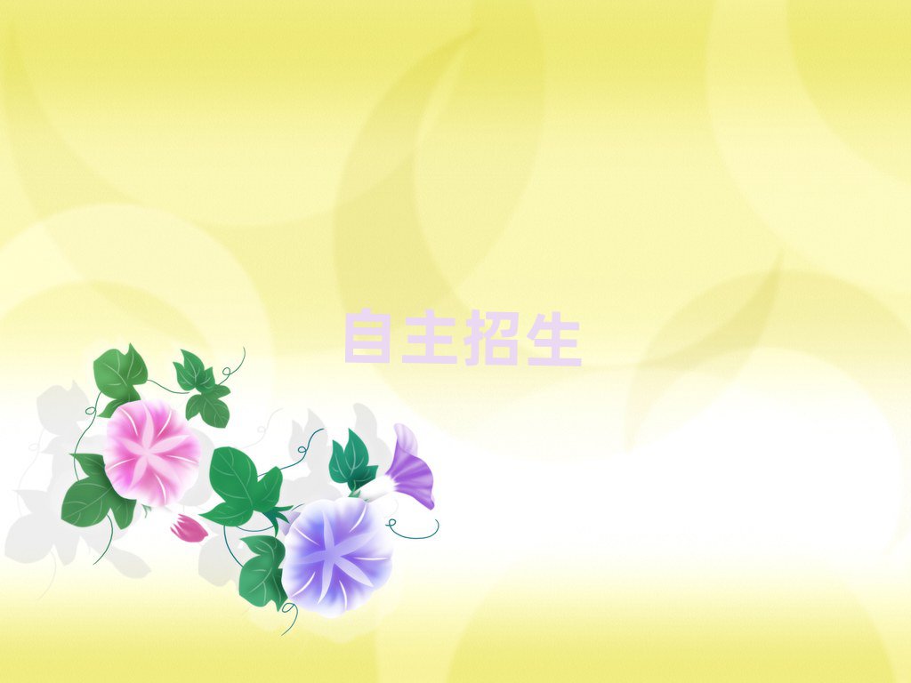 2019꺼WУļҺ