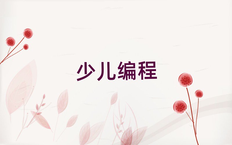 ^(q)W(xu)كW(xu)jsȥʲôW(xu)У