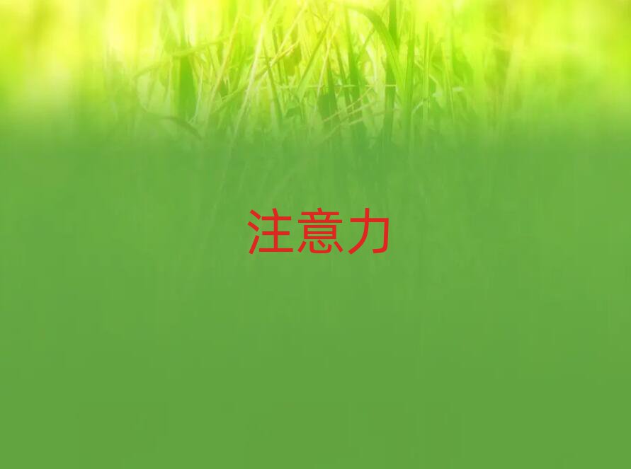 2019WXעӖӖɽ혵^(q)