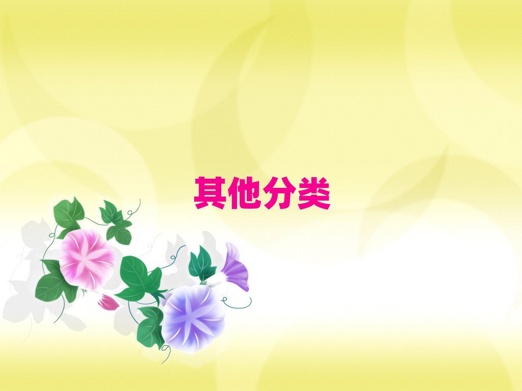 2019ɶ·IӖ(xn)