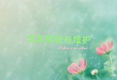 2025ꖝ^(q)ӢZZWУ]
