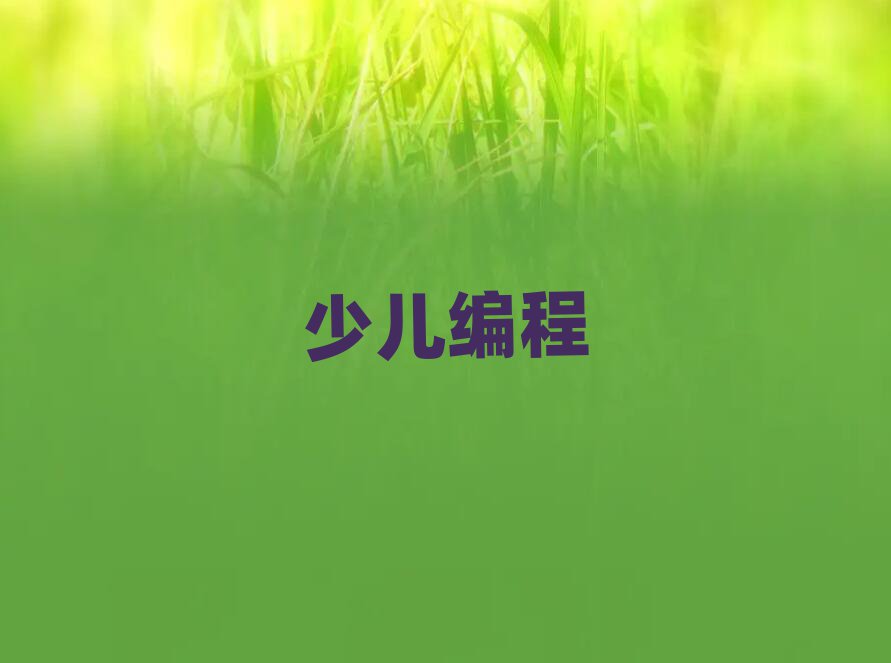 ޾