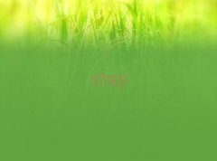 ݽɅ^(q)˼ĵط