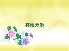 2025ꖝ^(q)Сno(do)