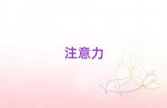 |ݸעӖ(xn)W(xu)У