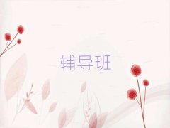 ʒɽСW(xu)Za(b)(x)o(do)
