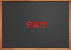 ?q)WكעӖ(xn)Ҫ