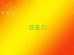 2025|ݸW(xu)עб^