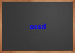 ǰʮă(ni)ӢZZno(do)C(gu)xγt