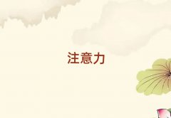 hh^(q)ӜͨӖǰʮι