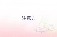 (yng)Ӷ(dng)YmӖ(xn)C(j)(gu)ǰʮ΅R