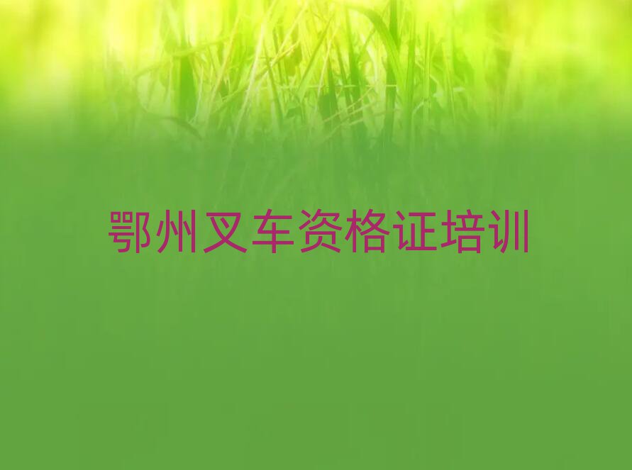 2024ʲô܇(ch)YCӖ(xn)W(xu)Уʮ