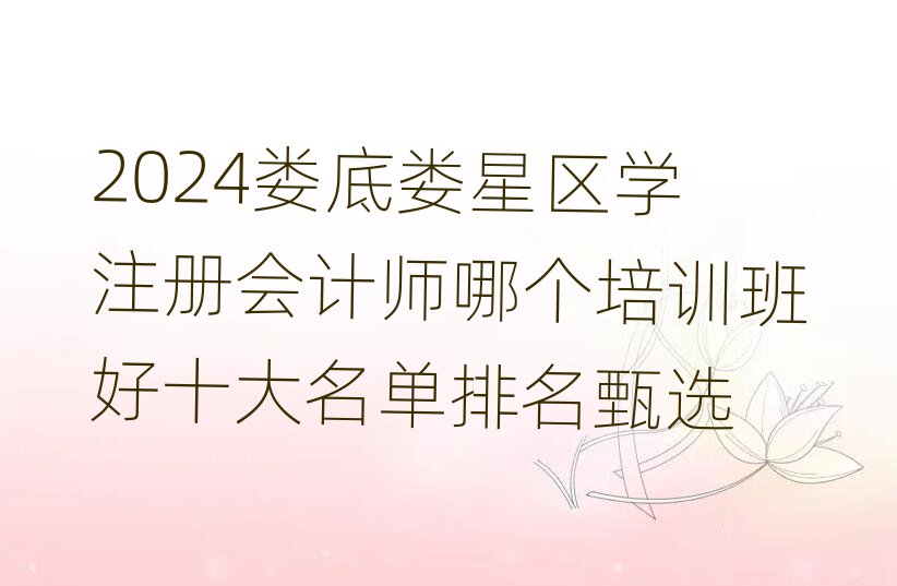 2024׊ǅ^(q)W(xu)ע(c)(hu)Ӌ(j)Ă(g)Ӗ(xn)ʮx