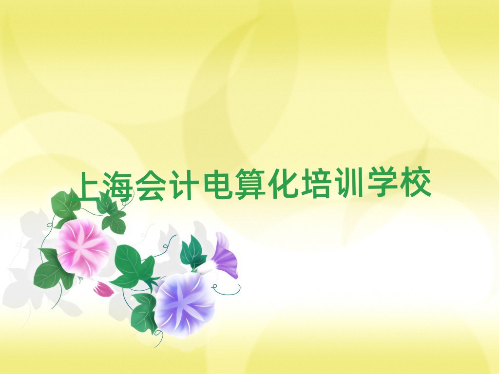 上海會(huì)計(jì)電算化考試輔導(dǎo)機(jī)構(gòu)