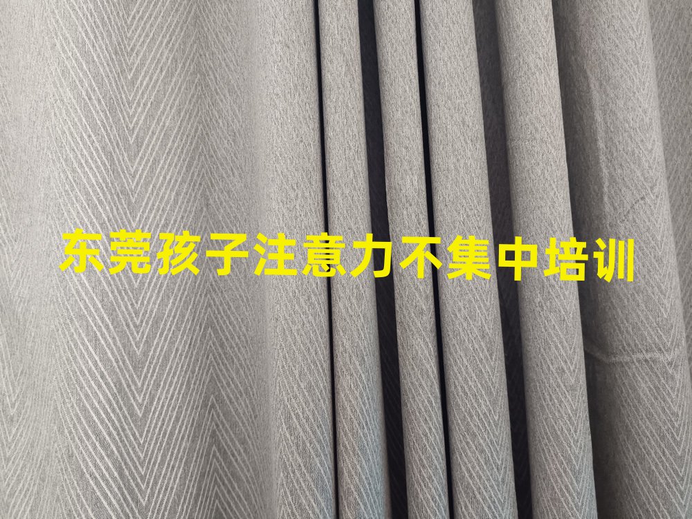 東莞孩子注意力不集中培訓(xùn)規(guī)格高師資強(qiáng)排名前五