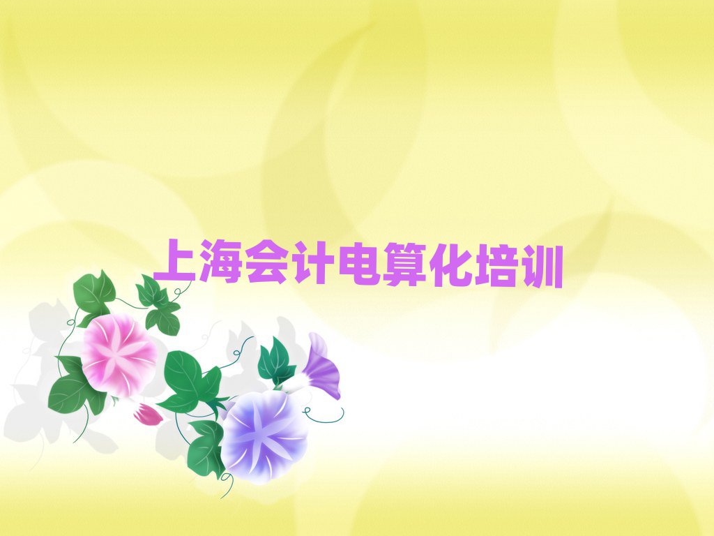 1月上海新涇鎮(zhèn)會(huì)計(jì)電算化培訓(xùn)需要多少錢一次