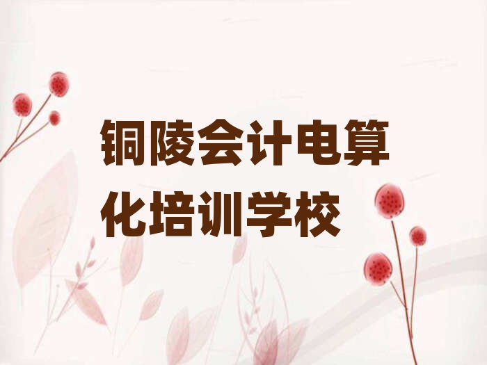 2025年銅陵義安區(qū)會(huì)計(jì)電算化培訓(xùn)班多少費(fèi)用排名top10