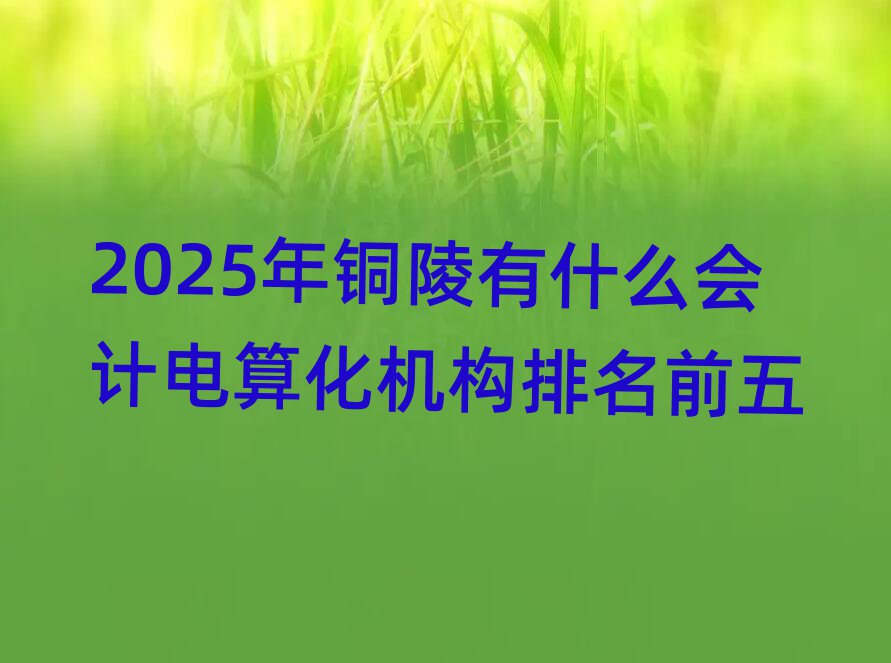 2025年銅陵有什么會(huì)計(jì)電算化機(jī)構(gòu)排名前五