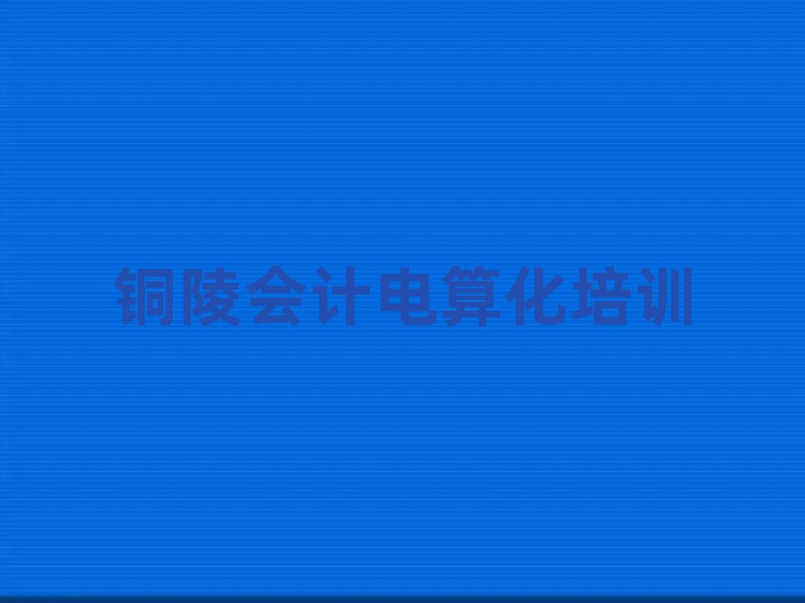 2025年銅陵有什么會(huì)計(jì)電算化機(jī)構(gòu)排名前五