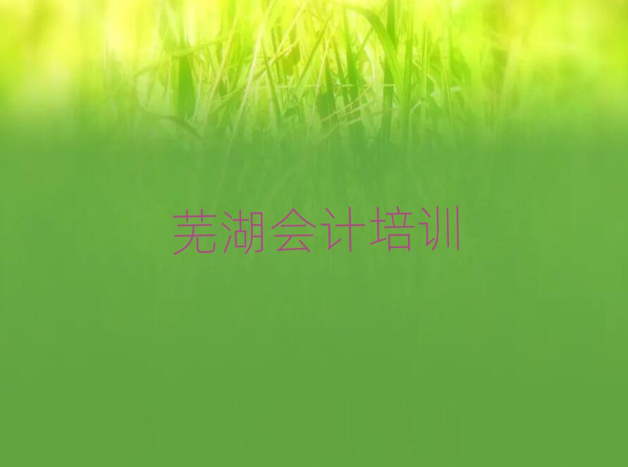 2025年蕪湖三山區(qū)會計培訓(xùn)學(xué)校