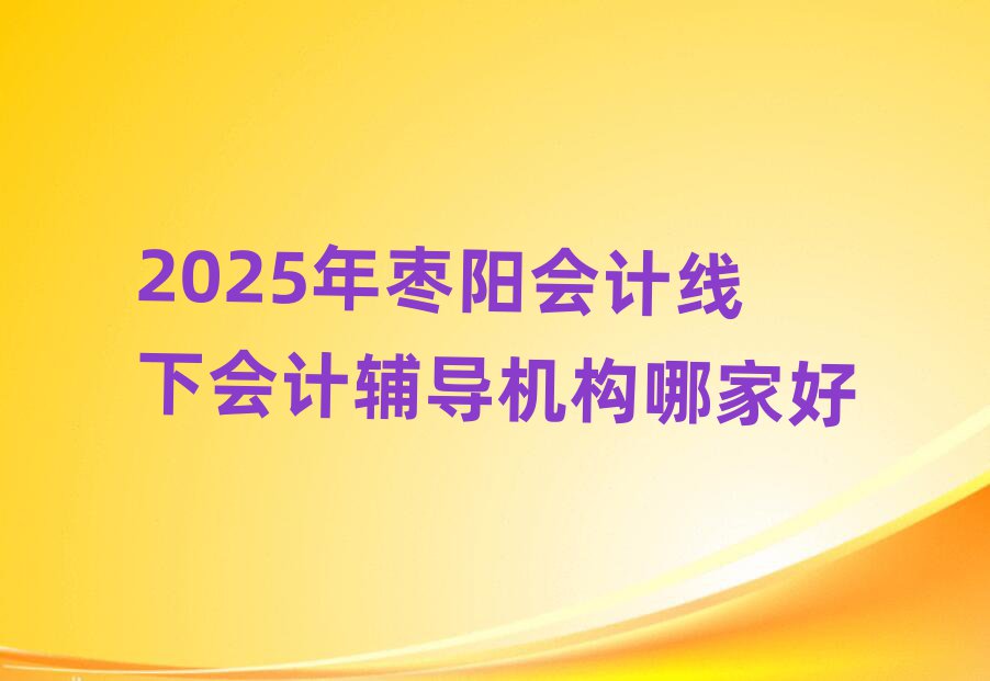 2025年棗陽會計線下會計輔導(dǎo)機(jī)構(gòu)哪家好