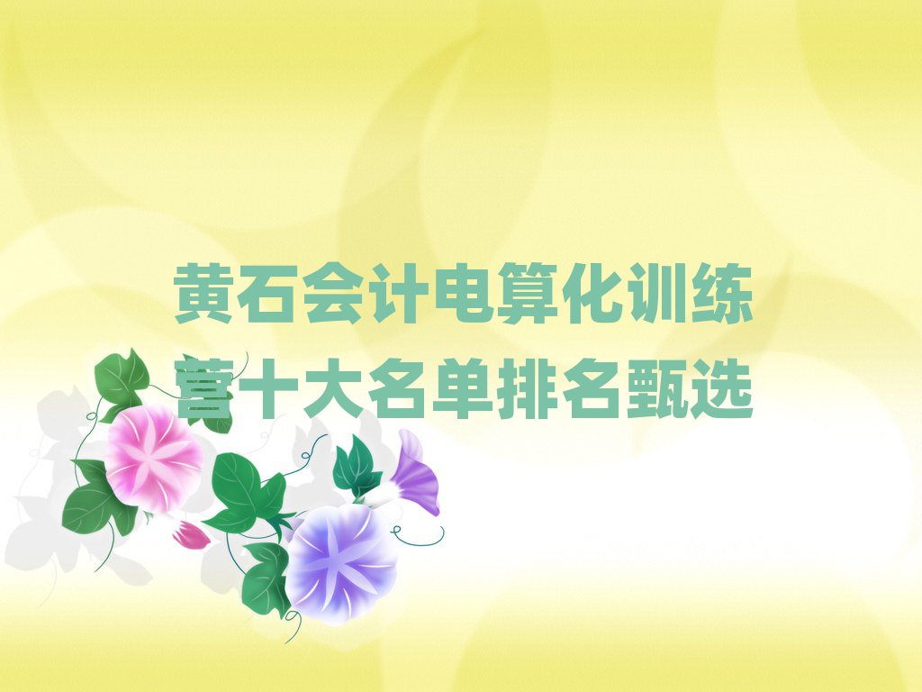 黃石會(huì)計(jì)電算化訓(xùn)練營(yíng)十大名單排名甄選