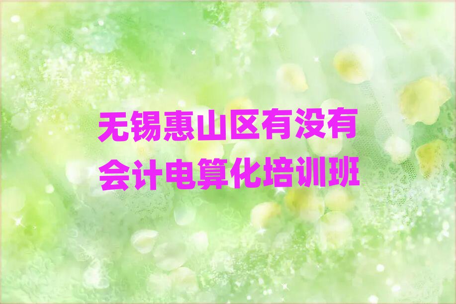 無錫惠山區(qū)有沒有會計電算化培訓(xùn)班