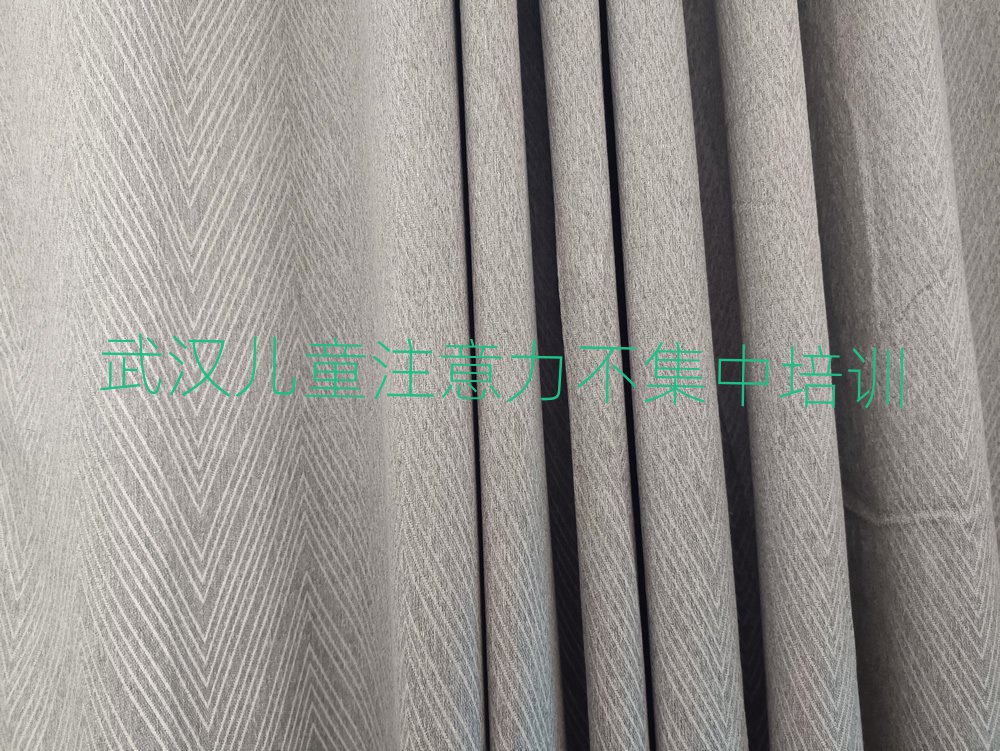 2025年武漢新洲區(qū)零基礎(chǔ)學兒童注意力不集中好學嗎