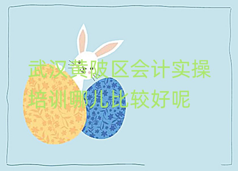 武漢黃陂區(qū)會計實操培訓哪兒比較好呢