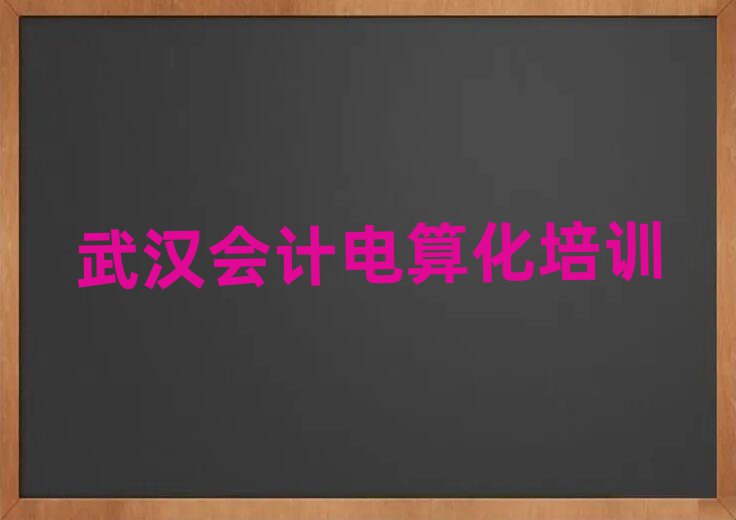 武漢武昌區(qū)會計電算化有沒有專門培訓會計電算化的地方