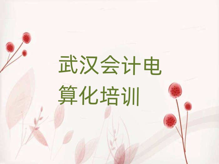 武漢武昌區(qū)會計電算化有沒有專門培訓會計電算化的地方