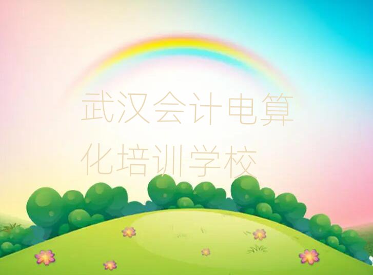 2025年武漢漢南區(qū)專業(yè)會計電算化培訓(xùn)學(xué)校哪家好點(diǎn)