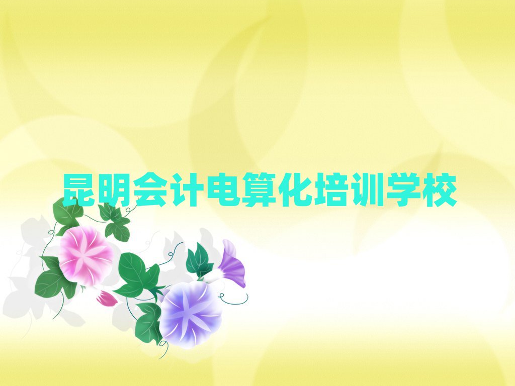 2025年昆明五華區(qū)的會計電算化一對一補習班排名前十