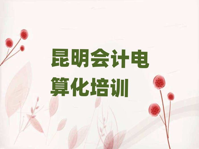 2025年昆明五華區(qū)的會計電算化一對一補習班排名前十