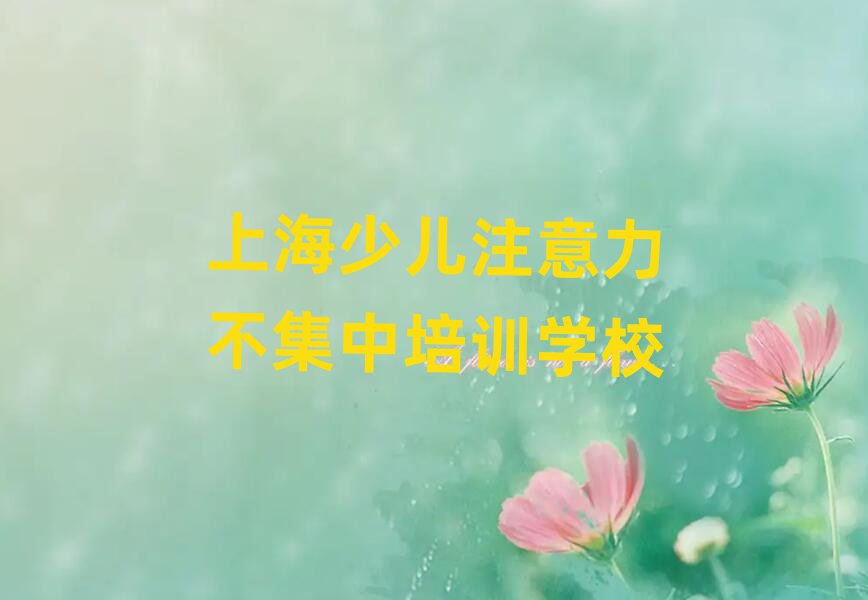 上海少兒注意力不集中在線培訓