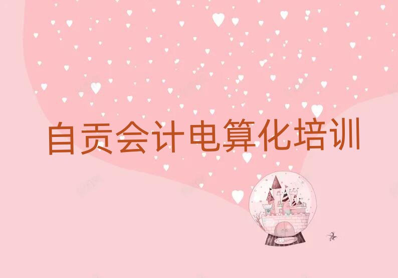 自貢大安區(qū)會計電算化的課程
