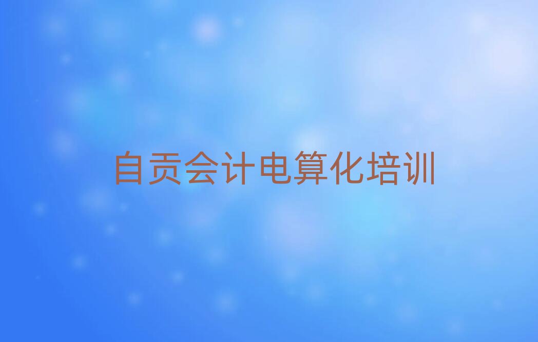 自貢大安區(qū)會計電算化的課程