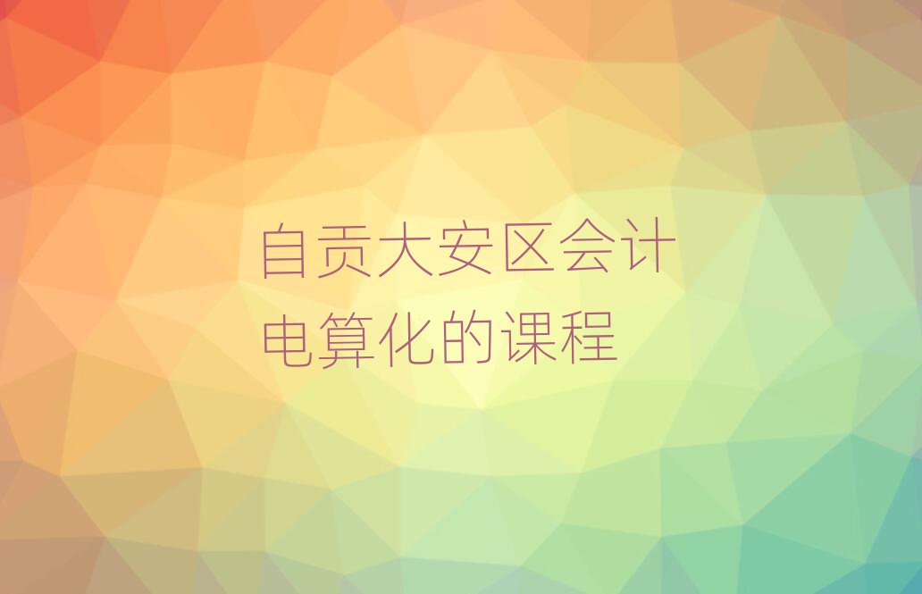 自貢大安區(qū)會計電算化的課程