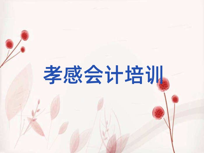 孝感孝南區(qū)會計好的輔導(dǎo)機構(gòu)名單更新匯總