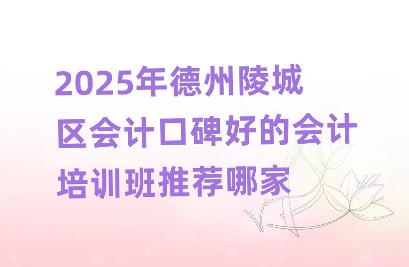 2025年德州陵城區(qū)會計口碑好的會計培訓班推薦哪家