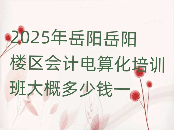 2025年岳陽(yáng)岳陽(yáng)樓區(qū)會(huì)計(jì)電算化培訓(xùn)班大概多少錢一