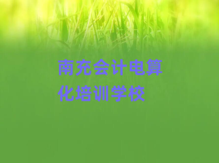 2025年南充嘉陵區(qū)在哪里可以學會計電算化學校排名前五